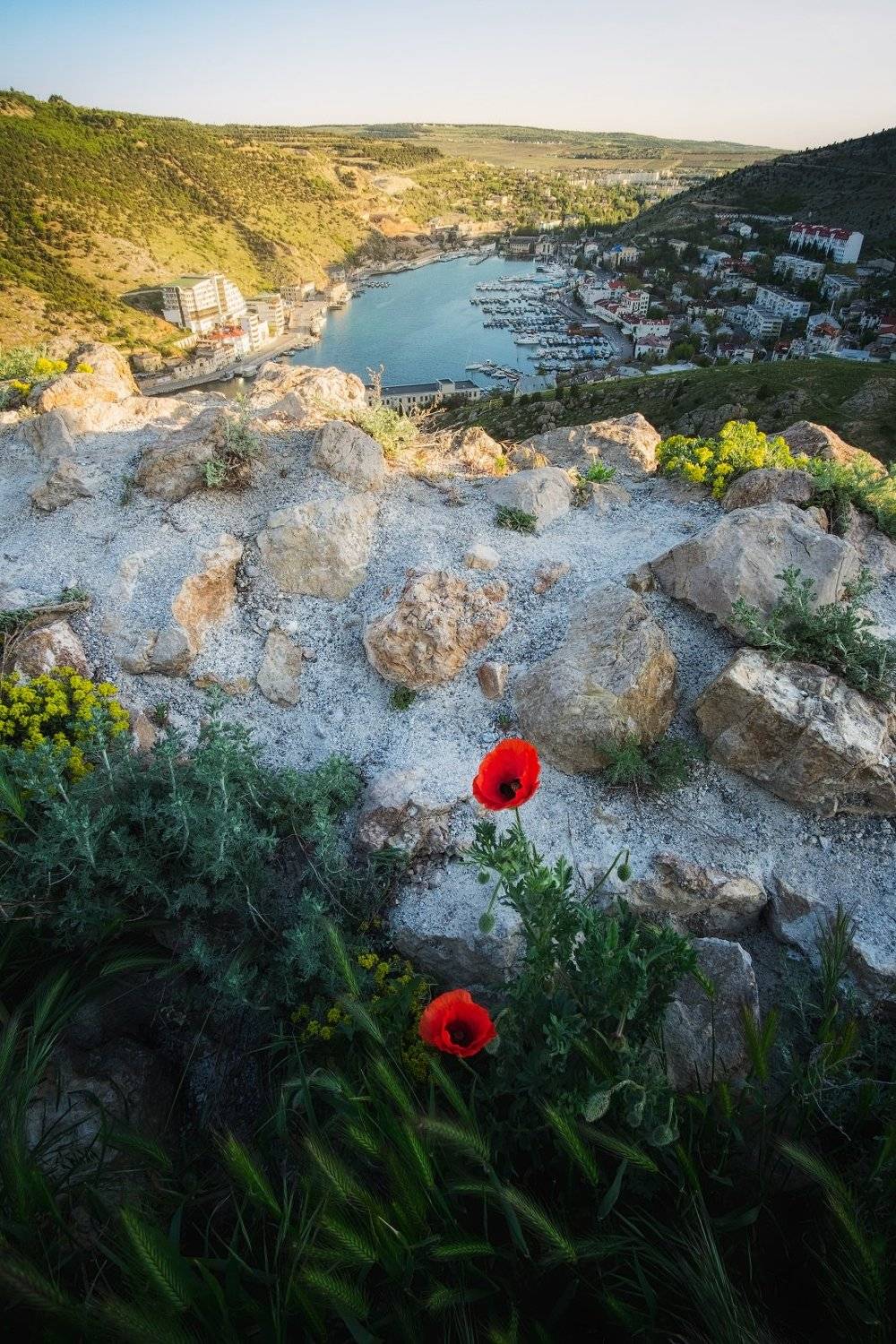 крым, балаклава, рассвет, весна, маки, черное море, юбк, Глеб Желтов