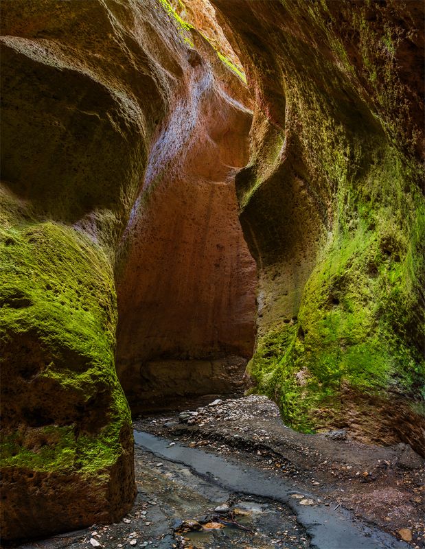 природа, пейзаж, горы, кавказ, природа россии, дикая природа, ущелье, теснина теснина фото превью