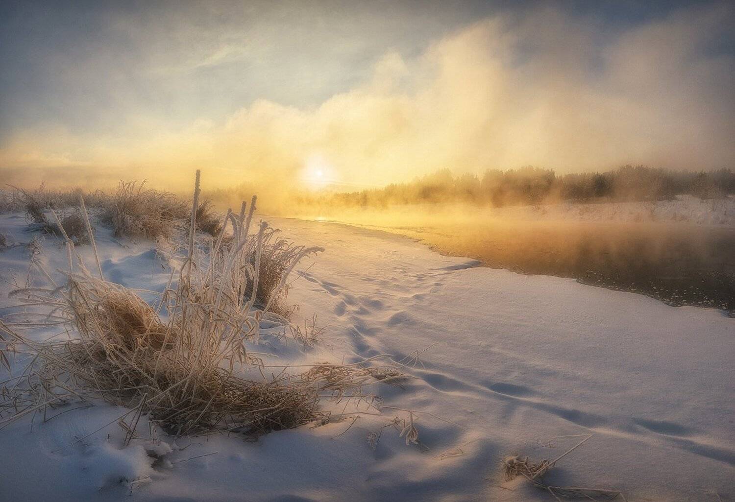 , Устюжанин Михаил