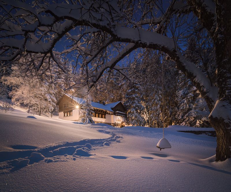 Home in the forest фото превью