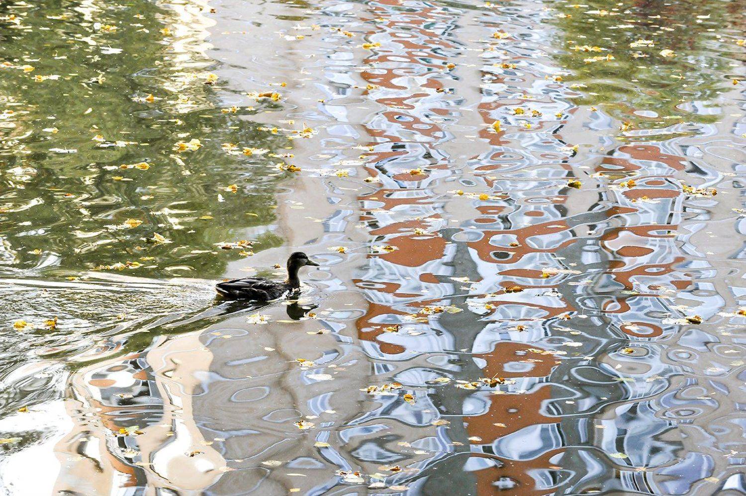 природа, Михаил Пшеннов