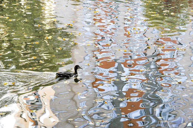 природа Импрессионистическое. фото превью