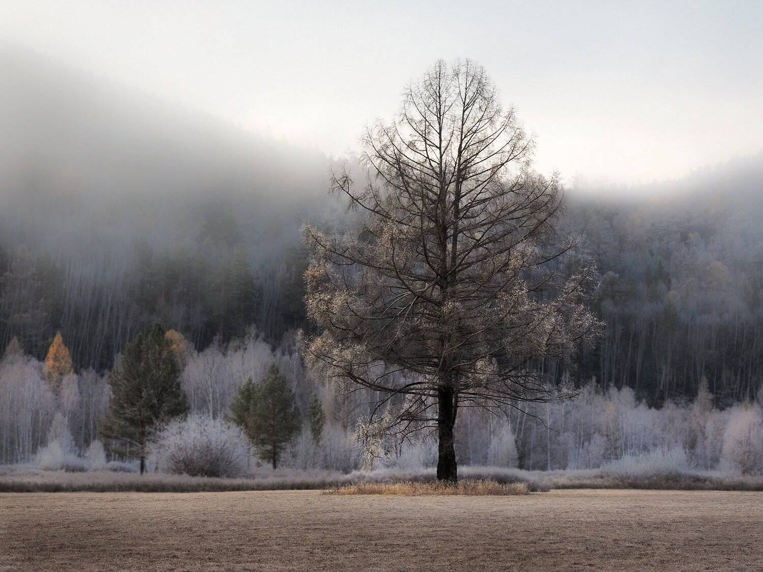 , Александр Попов