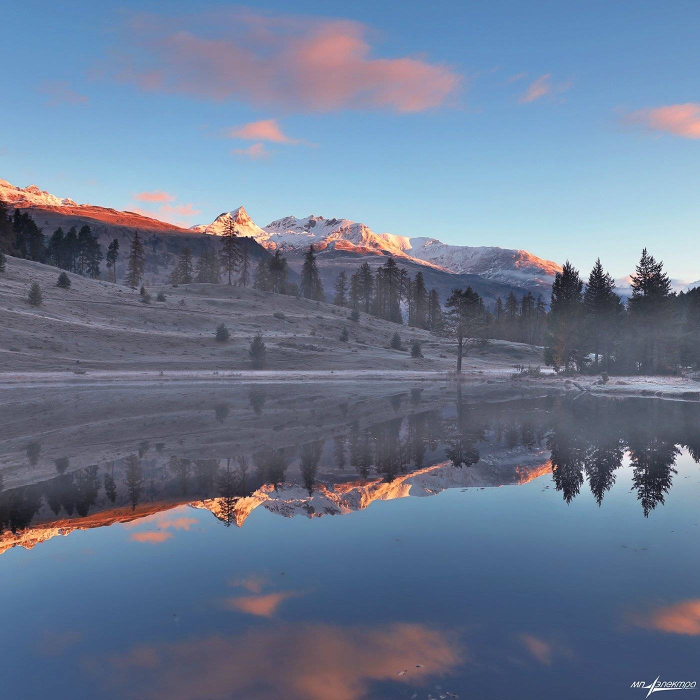 swiss, Матвеев Николай