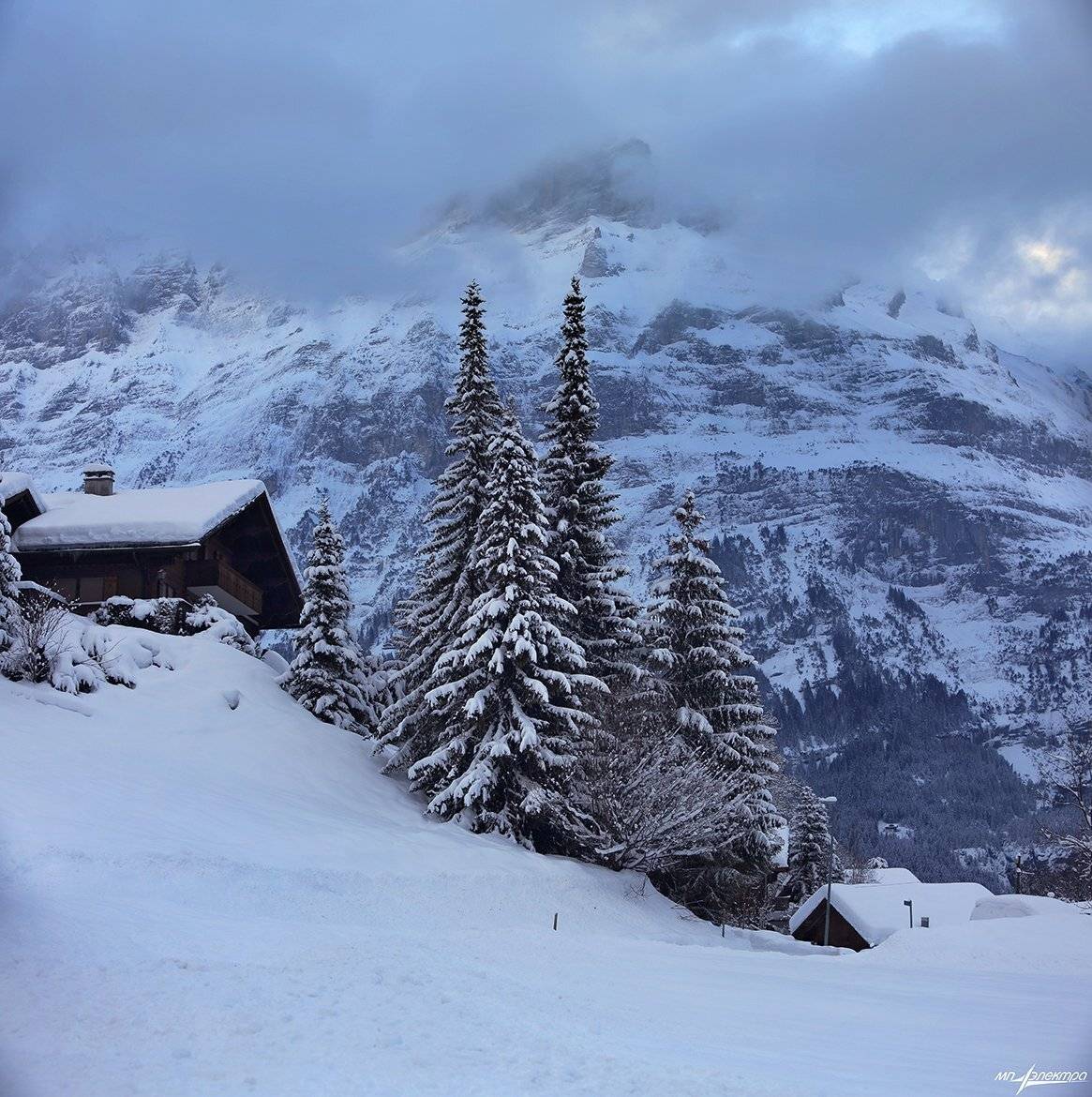 swiss, Матвеев Николай