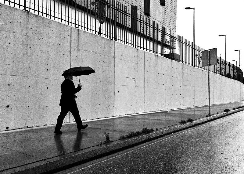 Rainy фото превью