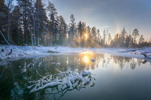 Морозность