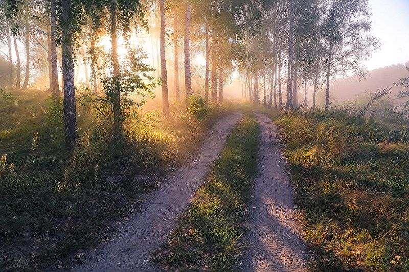 Утро нового дня фото превью