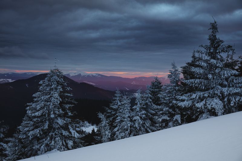 карпаты *** фото превью