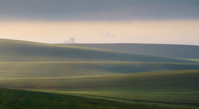 Field фото превью