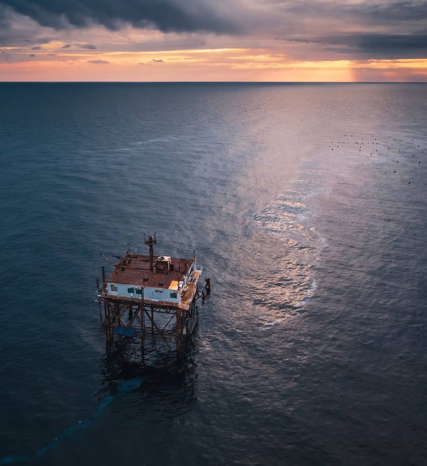 , Александр Шинкаревский