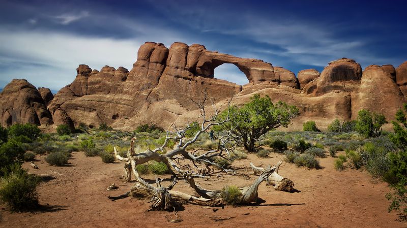 Skyline Arch фото превью