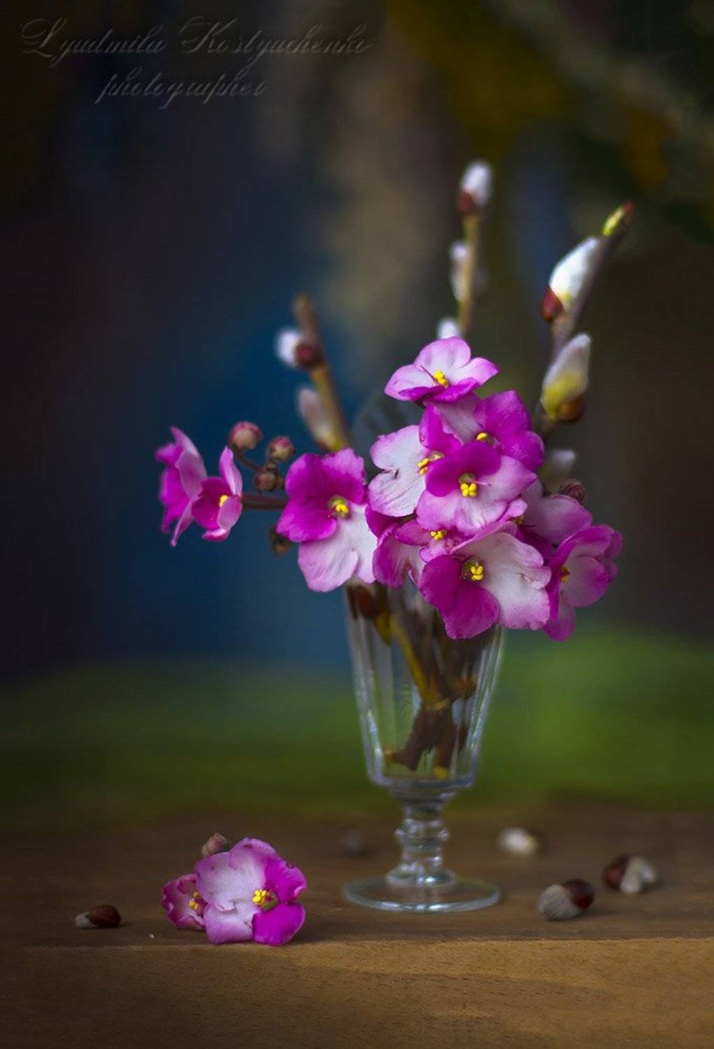 , Людмила Костюченко