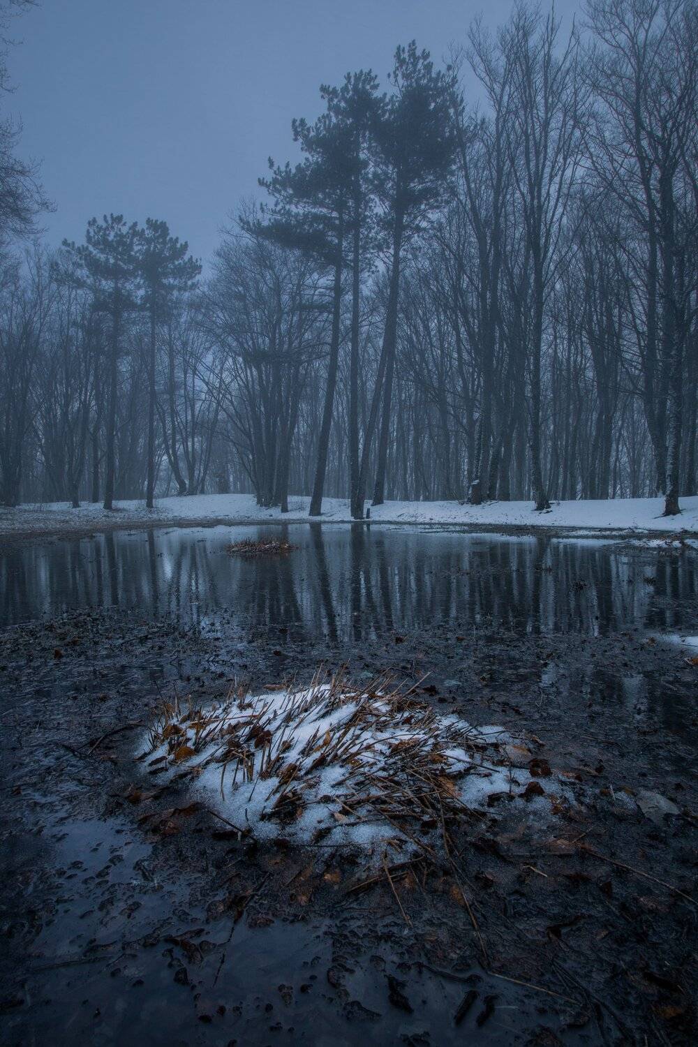 , Андрей Кривцов