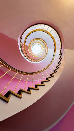 Розовый / Pink