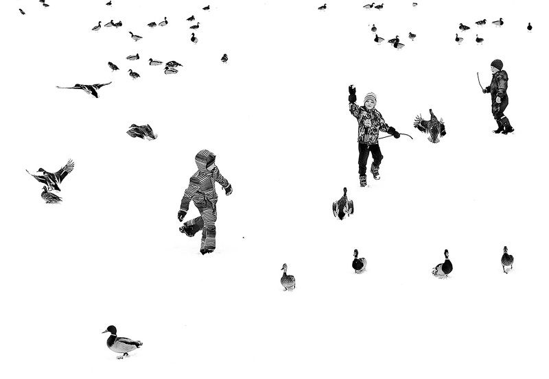 чб фото, дети и птицы, уличная фотография  фото превью