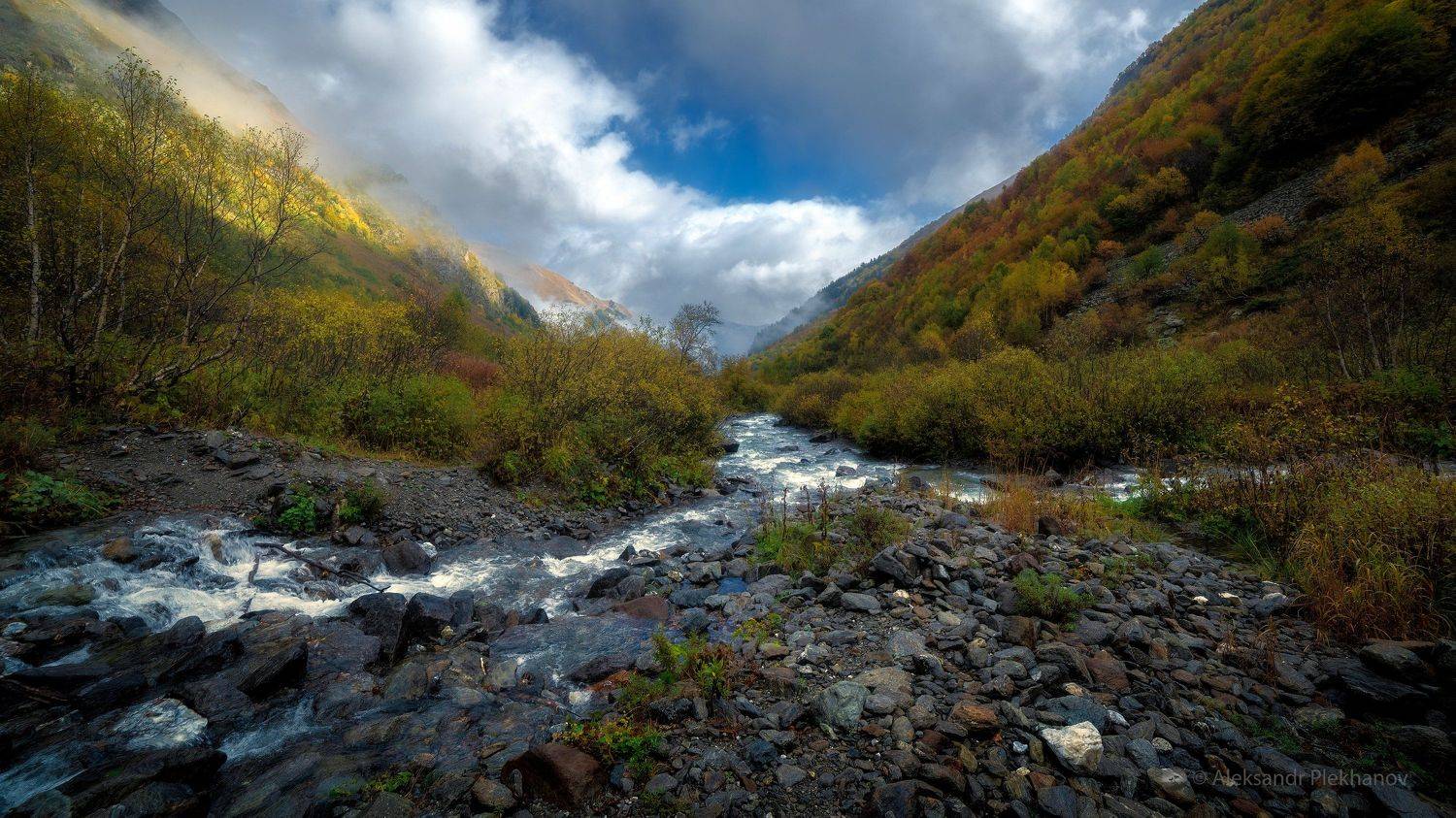 , Alexander Plekhanov