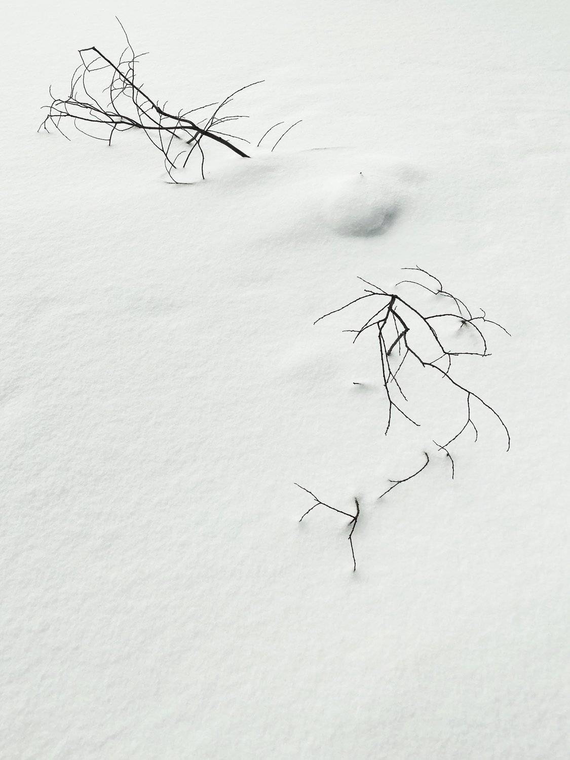 , Рустем Галямов