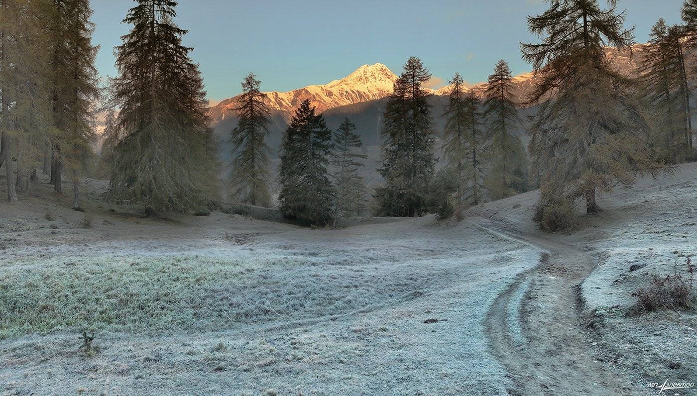 swiss, Матвеев Николай