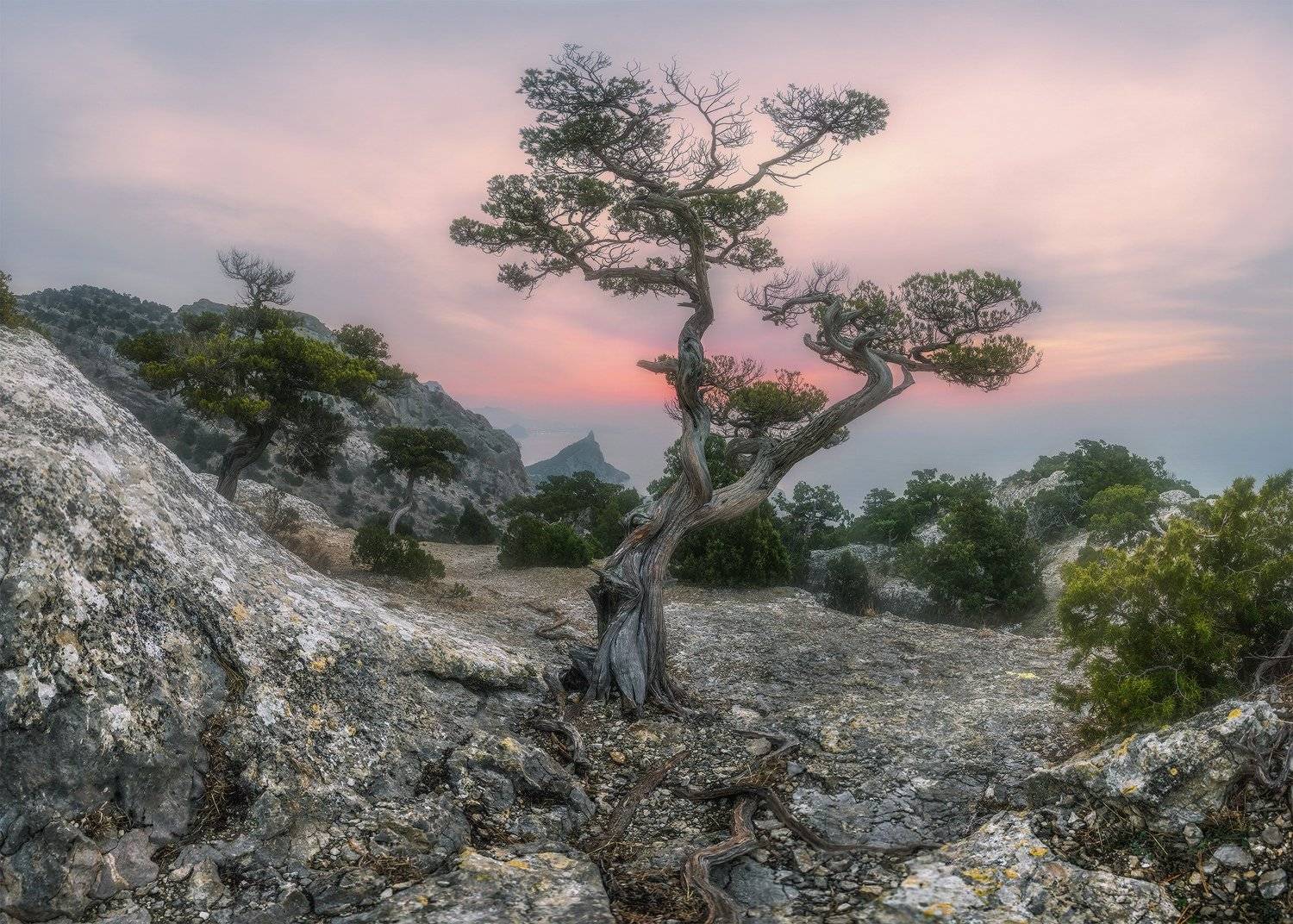 крым, новый свет, пик космос, рассвет, март, Николай Мысливцев