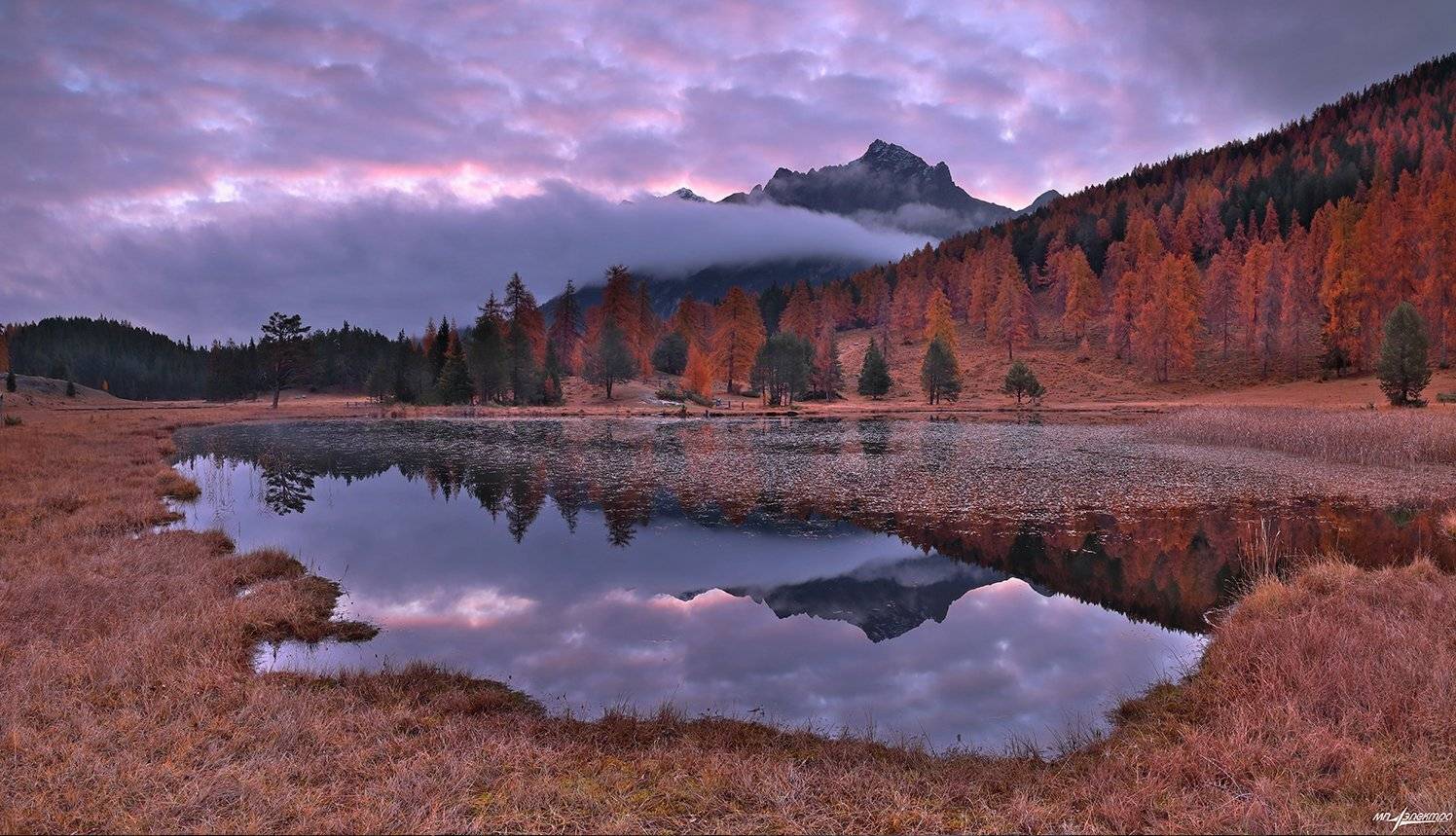 swiss, Матвеев Николай