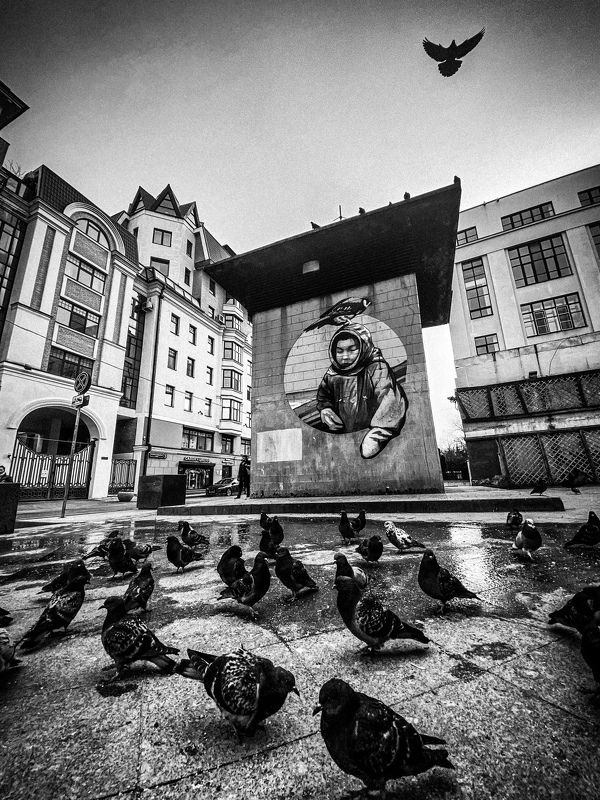 фото превью