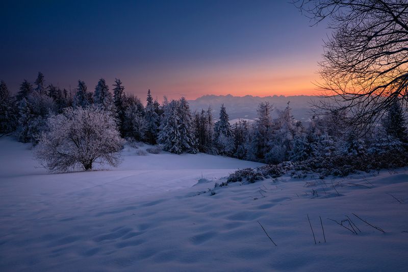 mountains, winter, poland, sunset, bluehour Evening in the Mountains фото превью