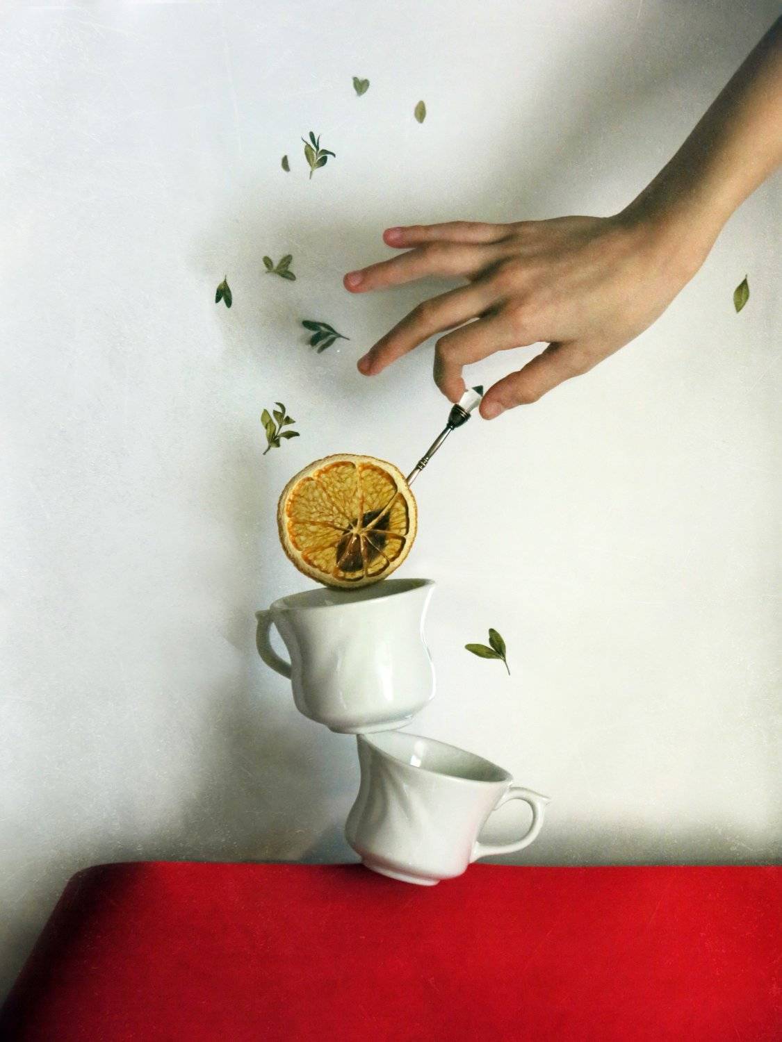 , Елена Лысенко