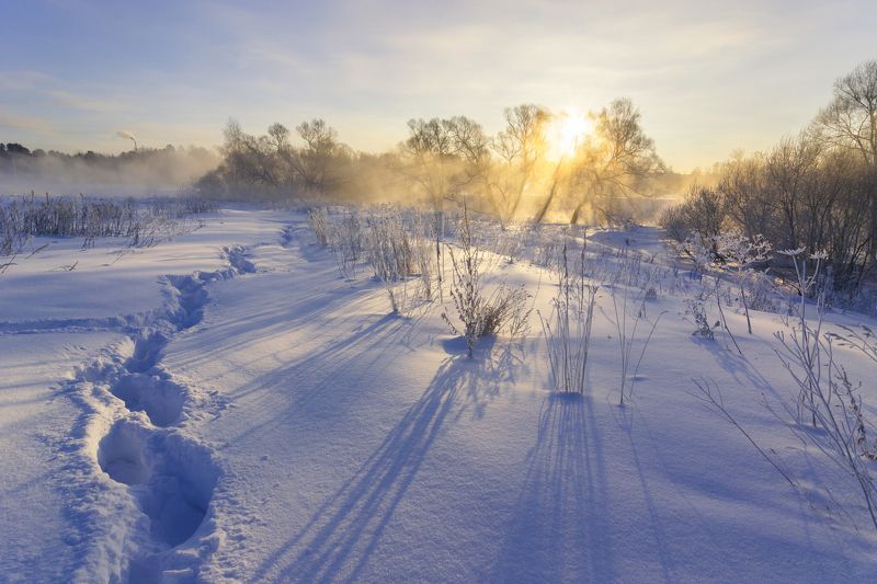 туман, московская область, утро, природа, пейзаж, зима, мороз, солнце Последние зимние морозные дни фото превью