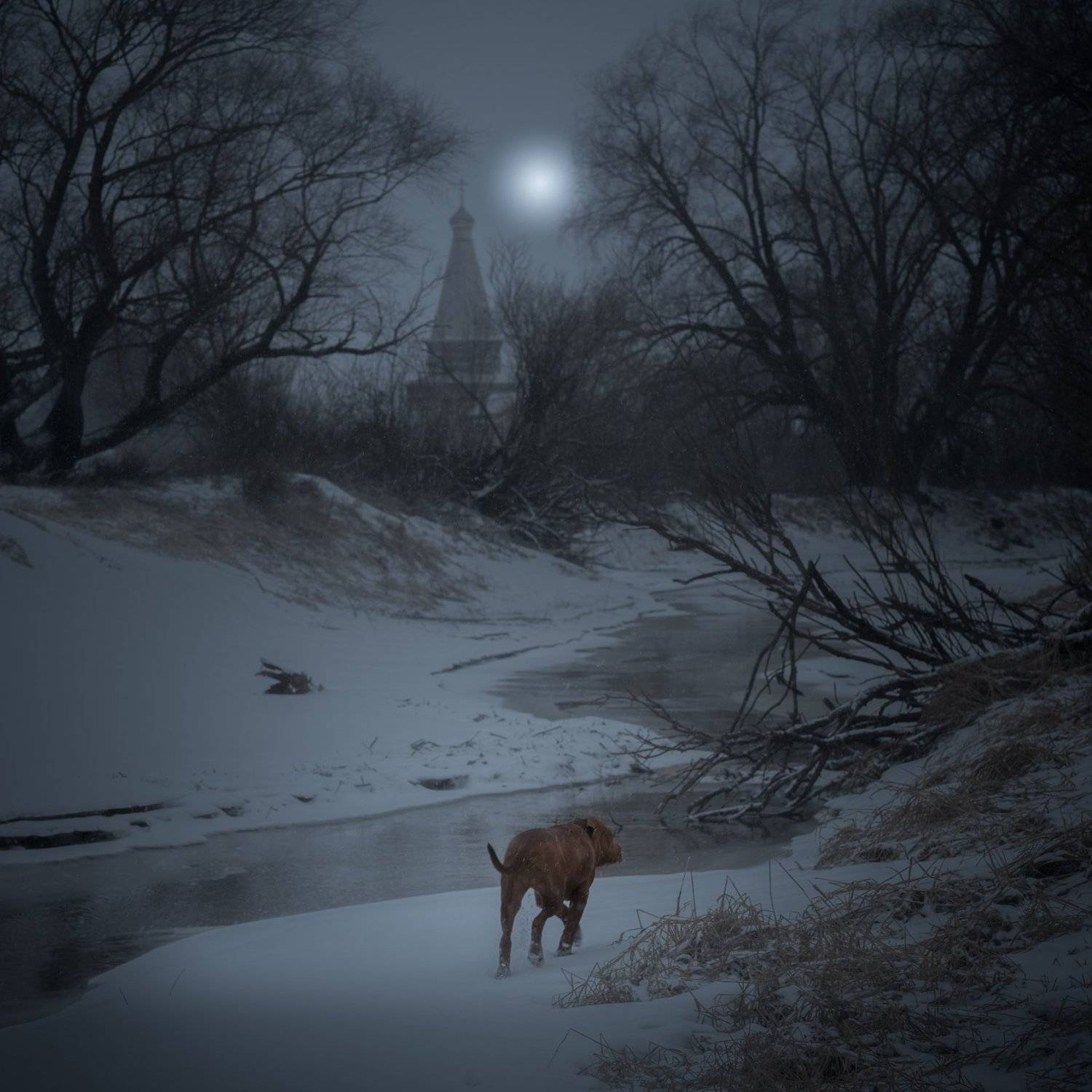 новгородская область,, Роман Фабричный