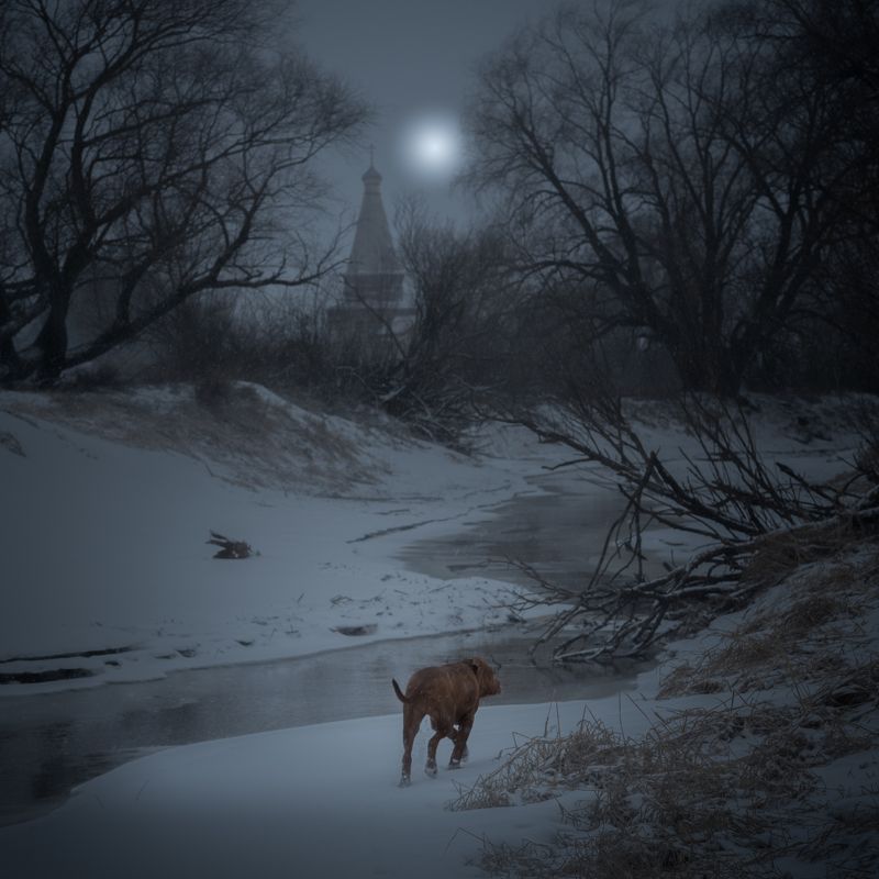 новгородская область, Шёл 21-й день весны фото превью