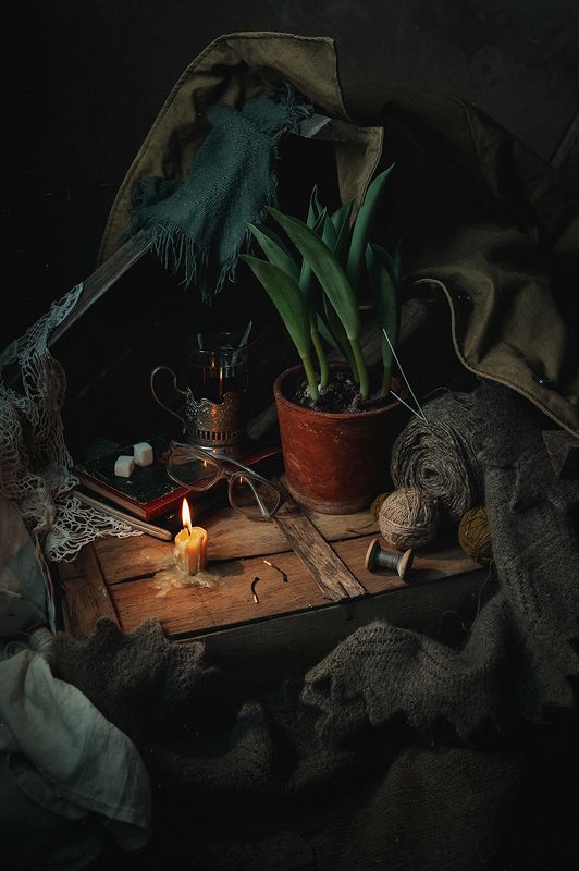 февраль, зима, натюрморт 12 месяцев. Февраль фото превью