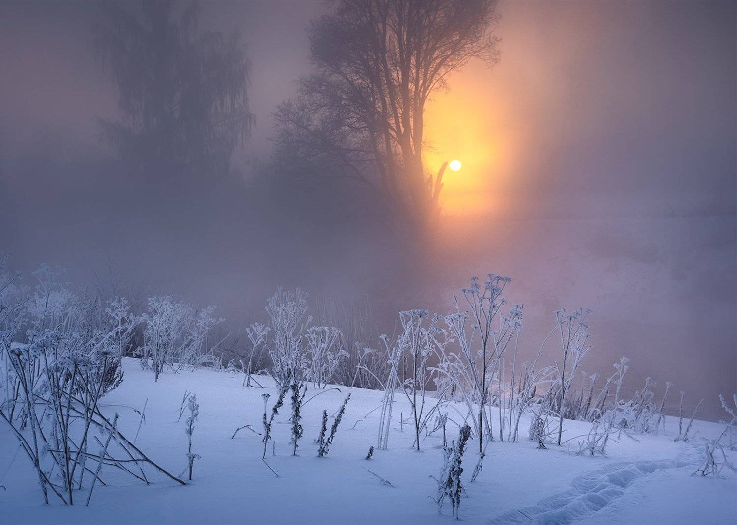 , Дмитрий Асеев