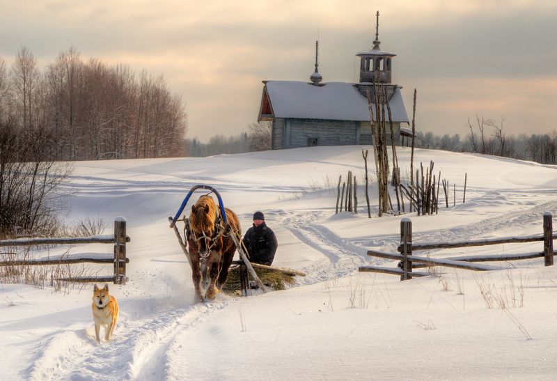 Один день из жизни Рокота фото превью