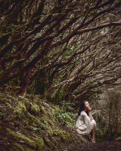 Forest fairy