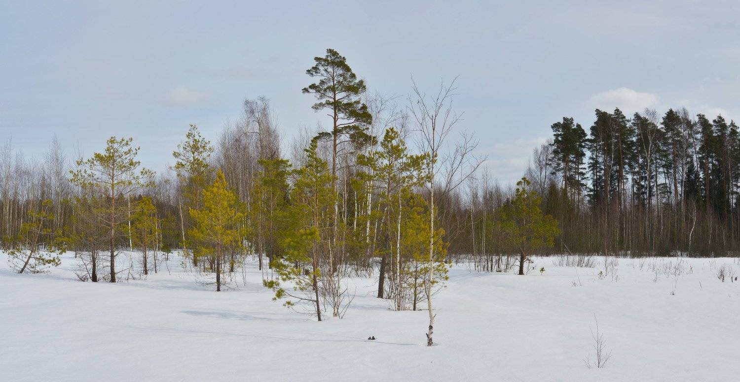 , Сергей Седов