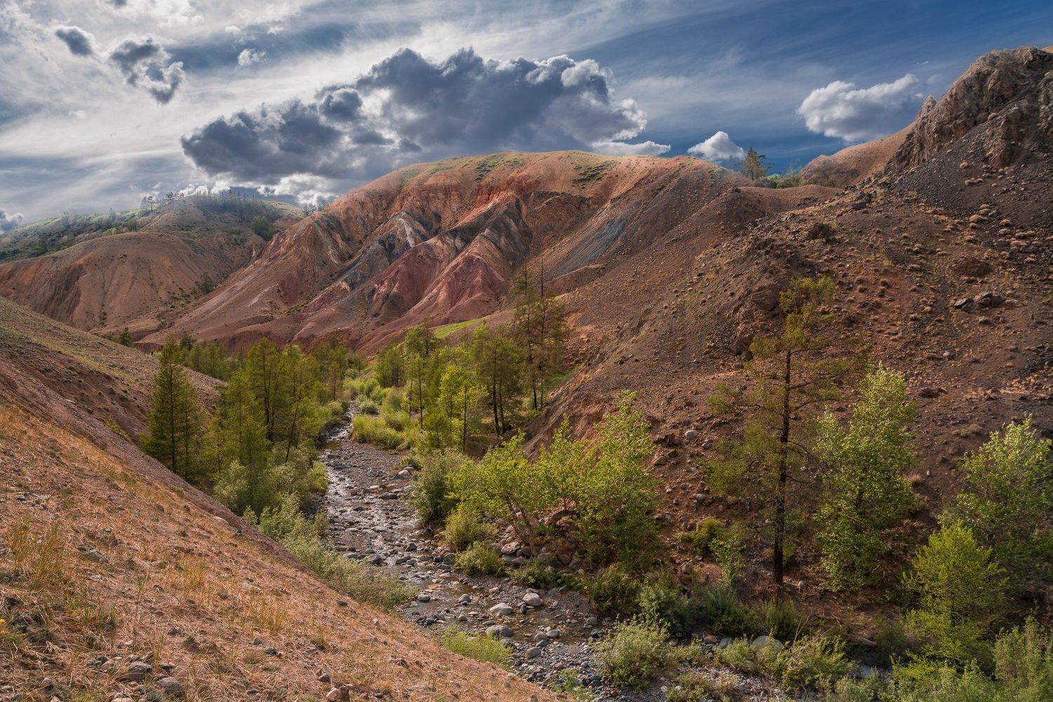 россия, горный алтай, кызыл-чин, Андрей Поляков