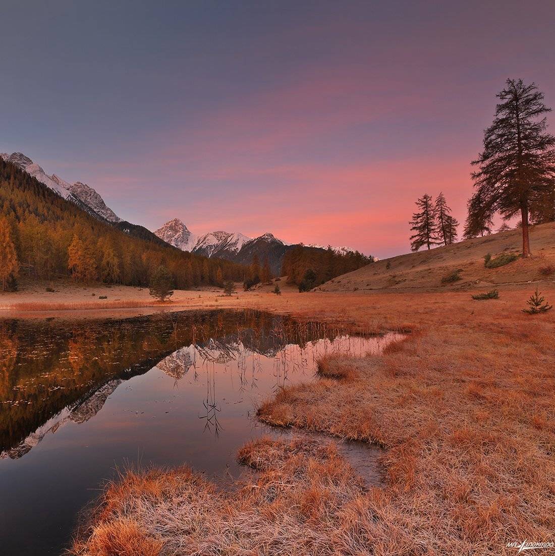 swiss, Матвеев Николай