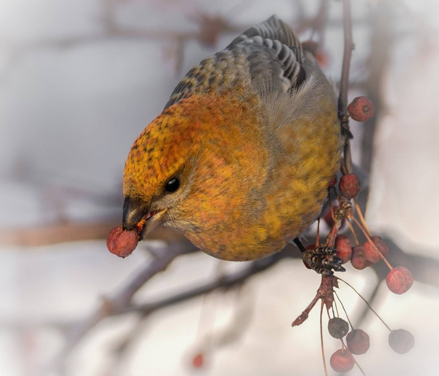 , Марина Мочалова