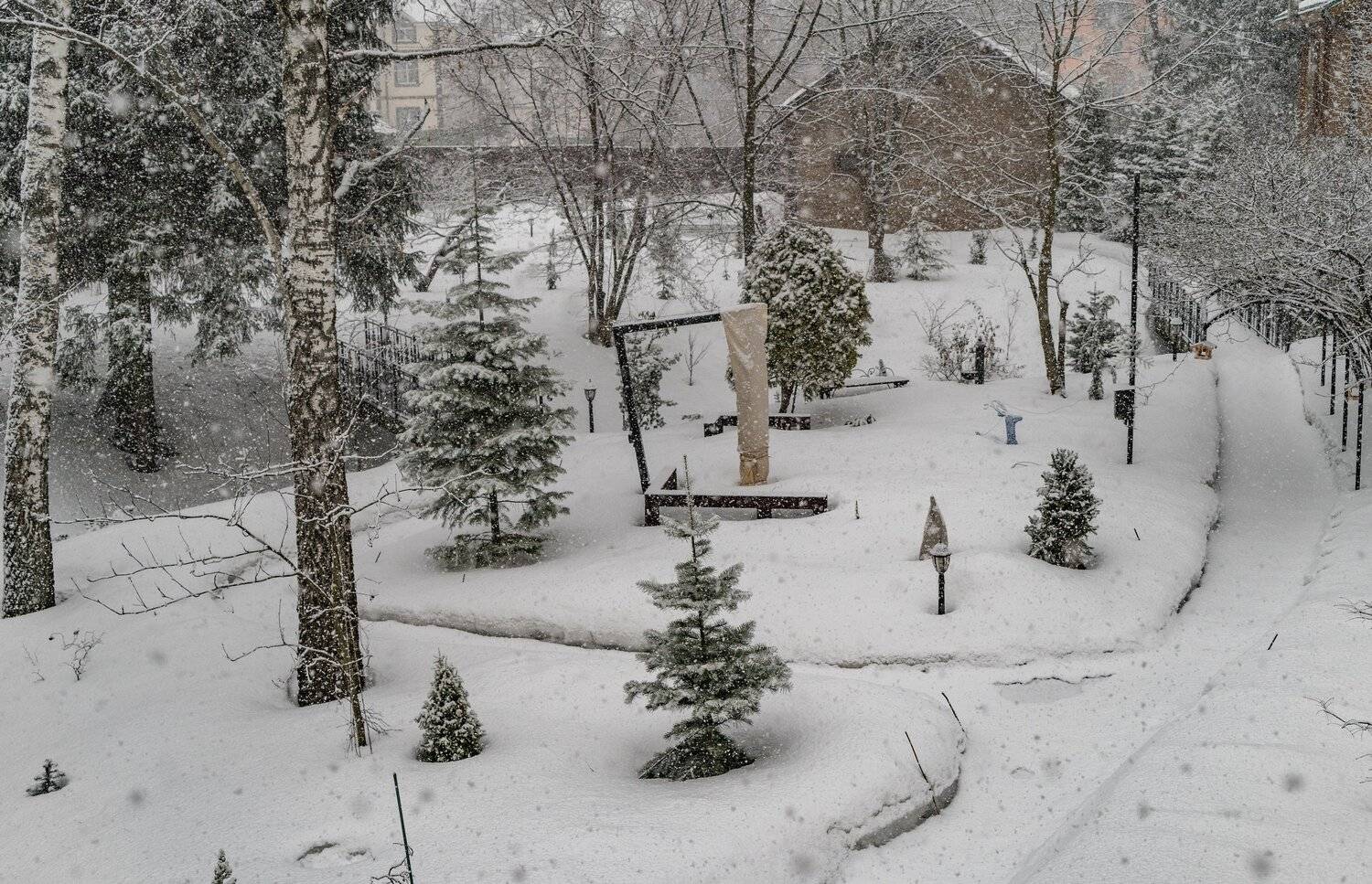 , Курлянцев Алексей