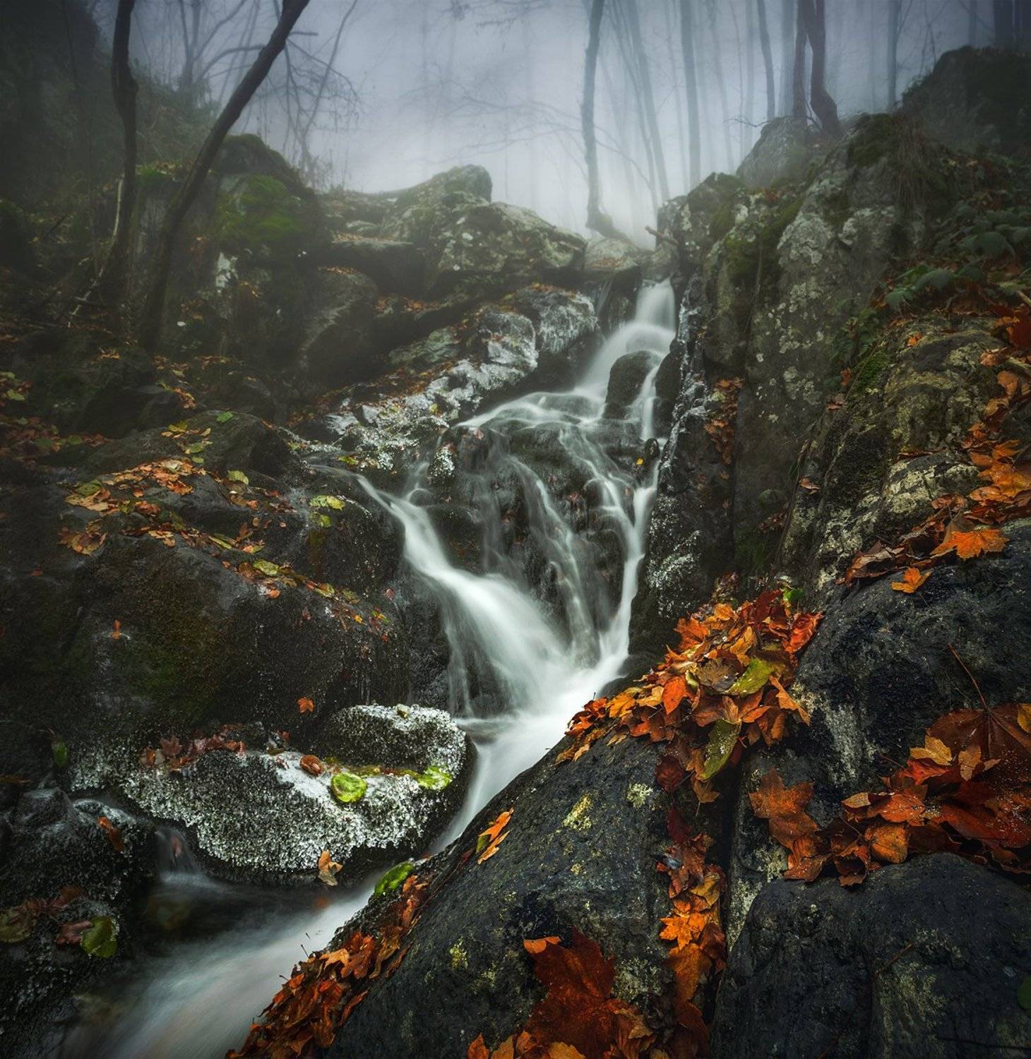 landscape nature scenery forest wood autumn mist misty fog foggy river waterfall colors mountain vitosha bulgaria туман лес, Александър Александров