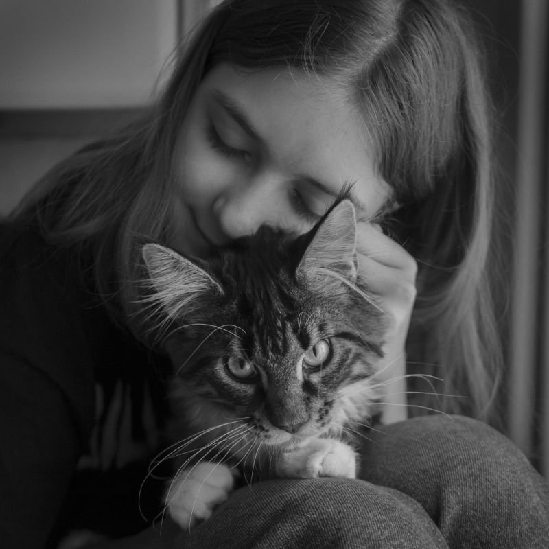 Кот и Вика фото превью