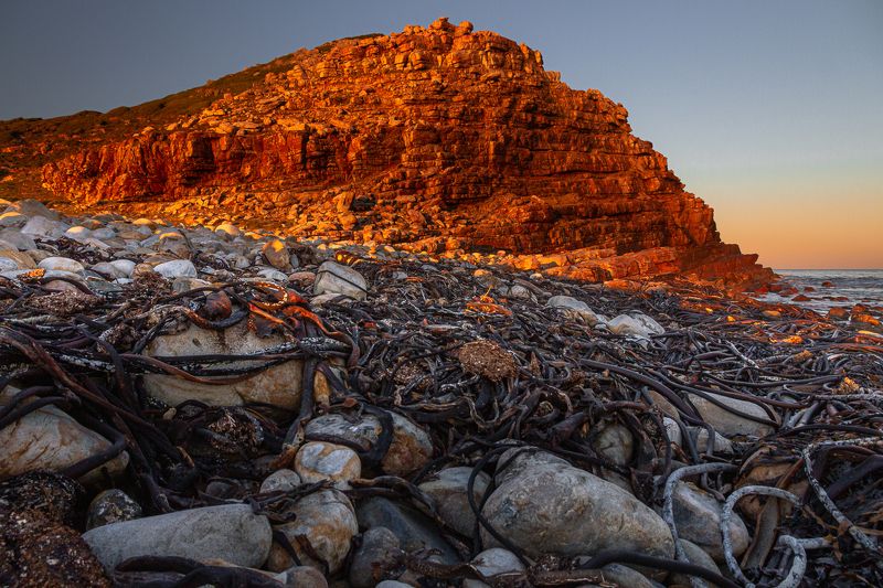 ruexpedition ninaslashchilina capeofgoodhope beach southafrica  фото превью