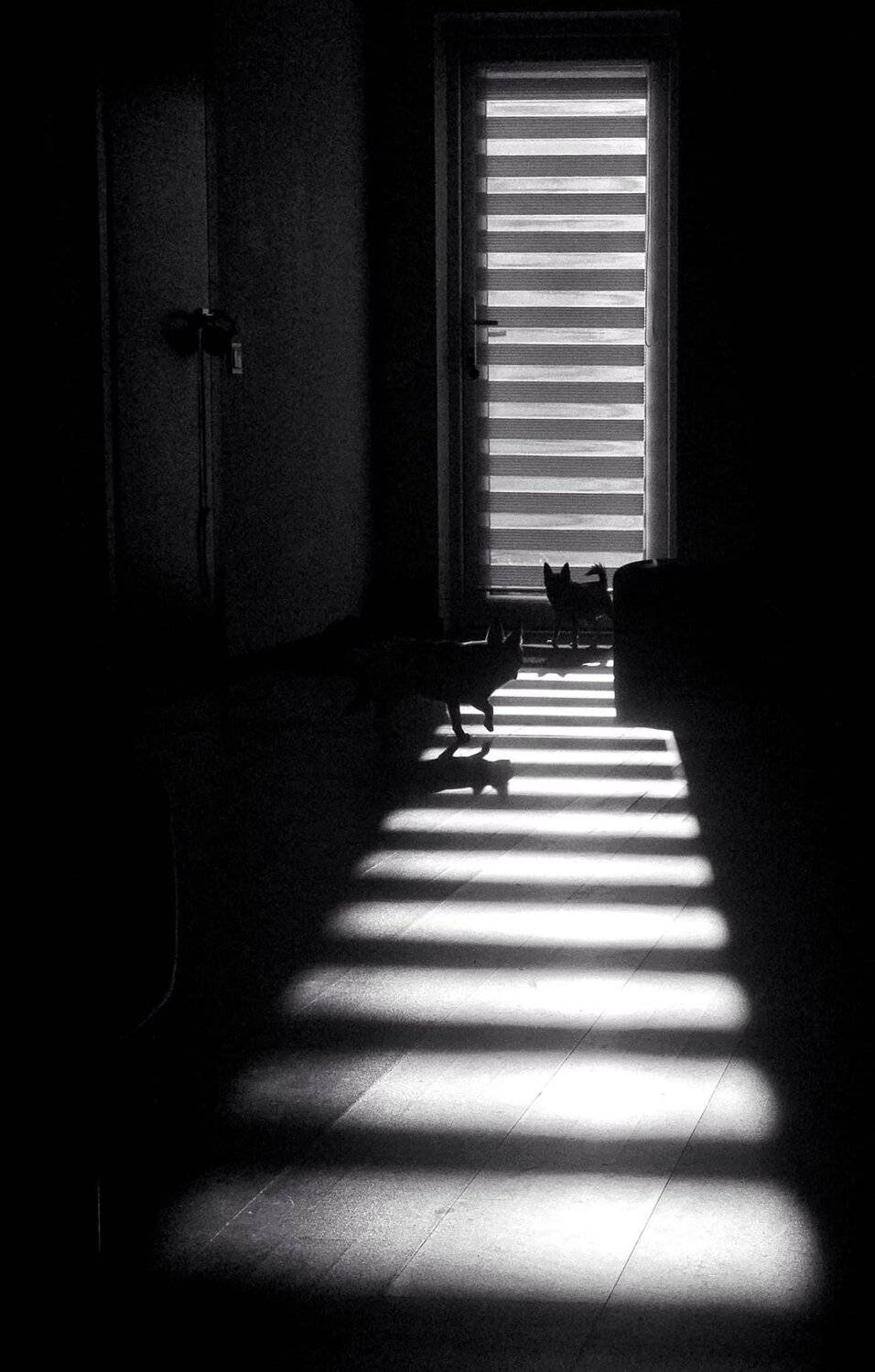 , Artur Politov