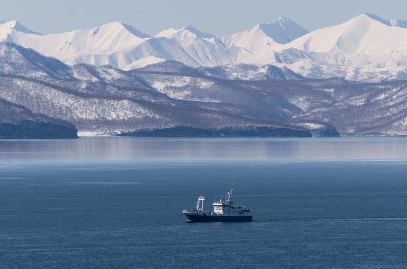 Kamchatka  фото превью