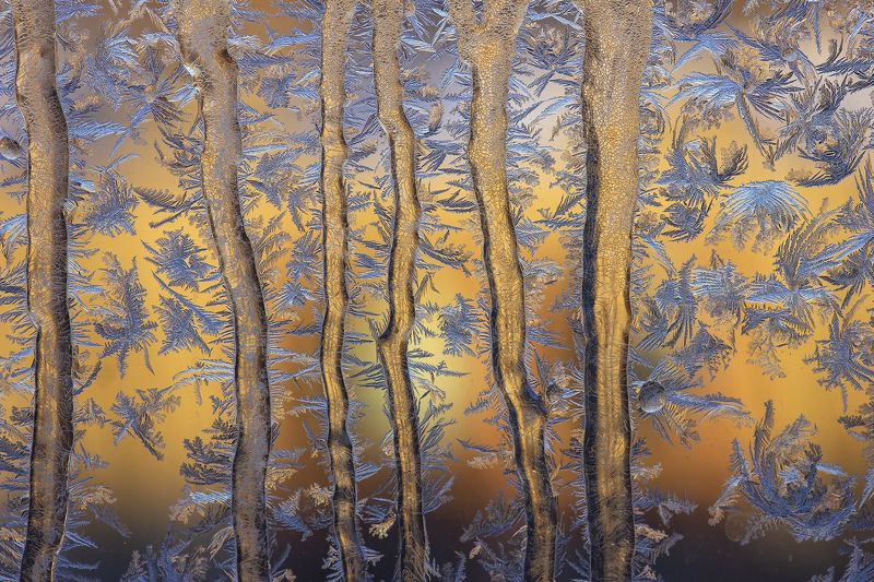 Рисунки деда Мороза фото превью