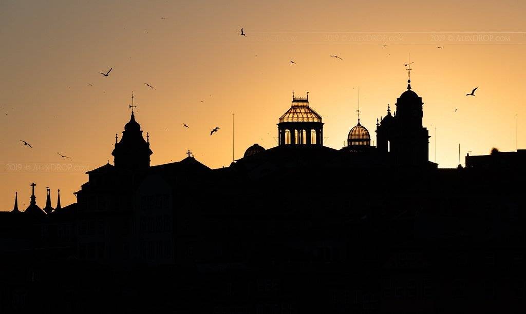 nikon, color, postcard, picturesque, landmark, europe, portugal, porto, travel, urban, architecture, iconic, bird, golden hour, sunset, AlexDROP
