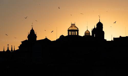 Чайки в небе над Порту / Seagulls over Porto