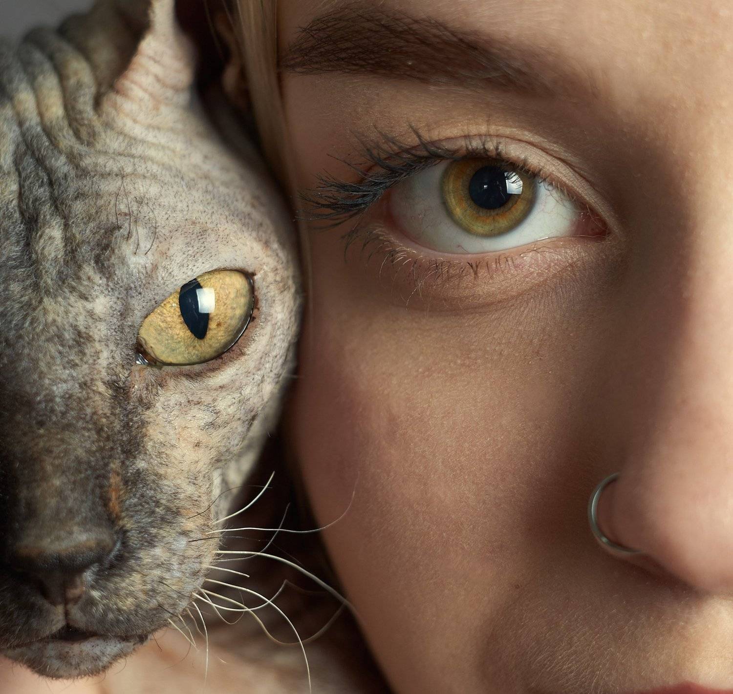 , Вячеслав Владимирович