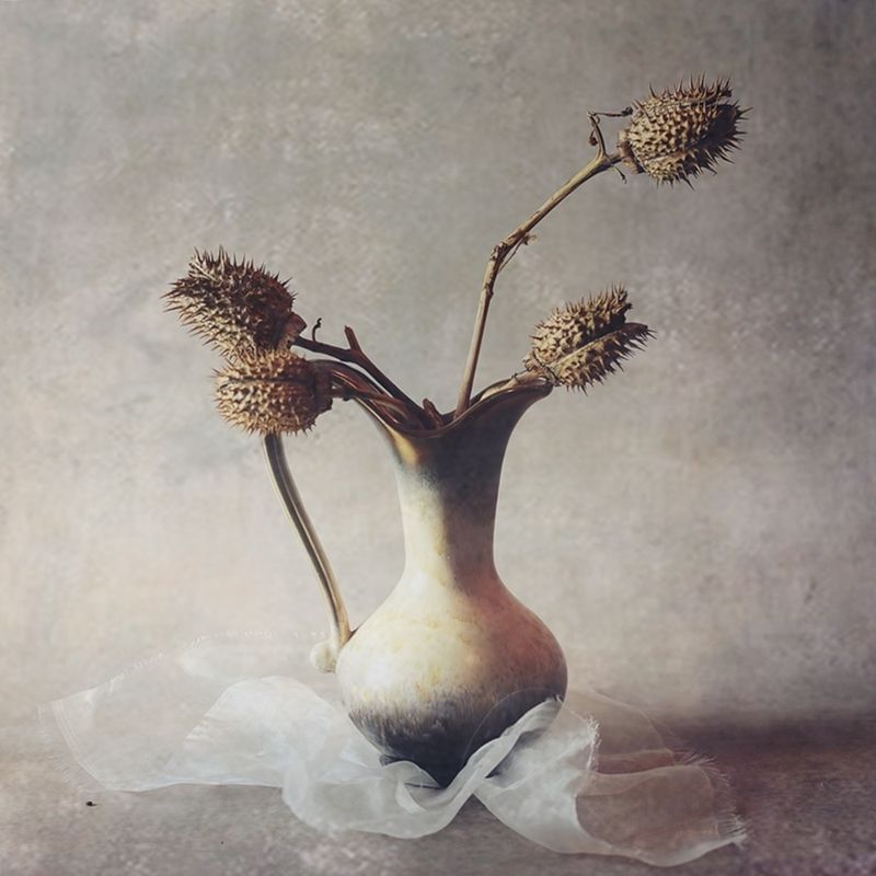 martwa natura, dzbanek, światło  .... фото превью